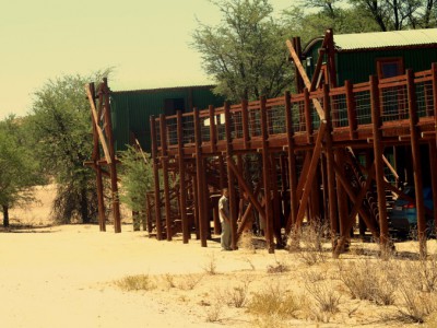 Campamento del Kalahar 