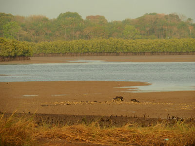 El río Cacheu en Cachungo
