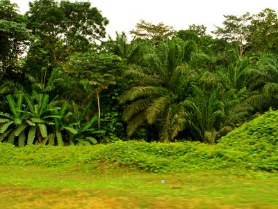 Un paisaje en Guinea Ecuatorial