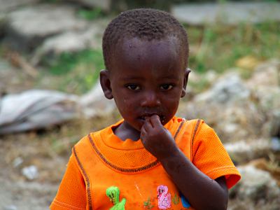 Nene en Mozambique