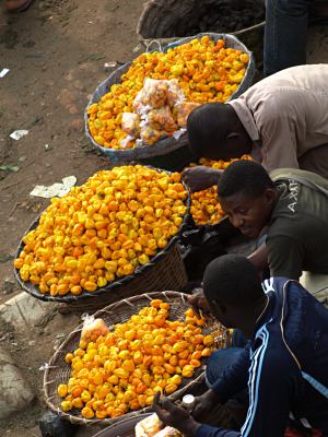 Vendedores en Ebute-Metta
