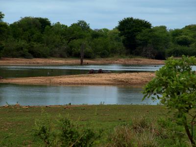 El Parque Nacional del Kruger