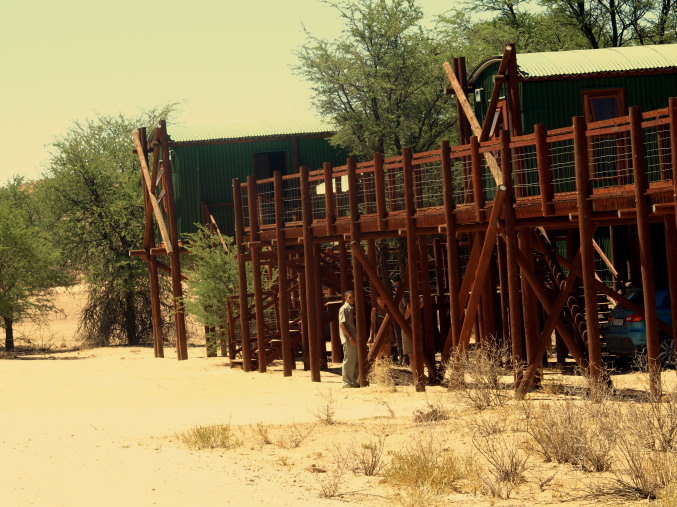 Campamentos del Kalahari