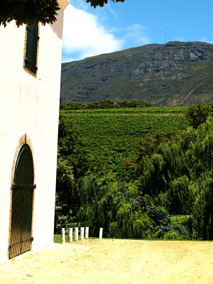 Bodegas y viñedos en los alrededores de Ciudad del Cabo