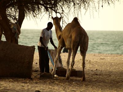 Hombre en una playa de Banjul