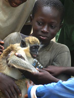 Un niño jugando con un mono en Casamance
