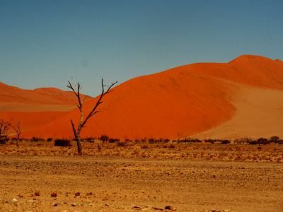 El corazón del Desierto de Namib