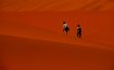Mis amigos en el Desierto de Namib