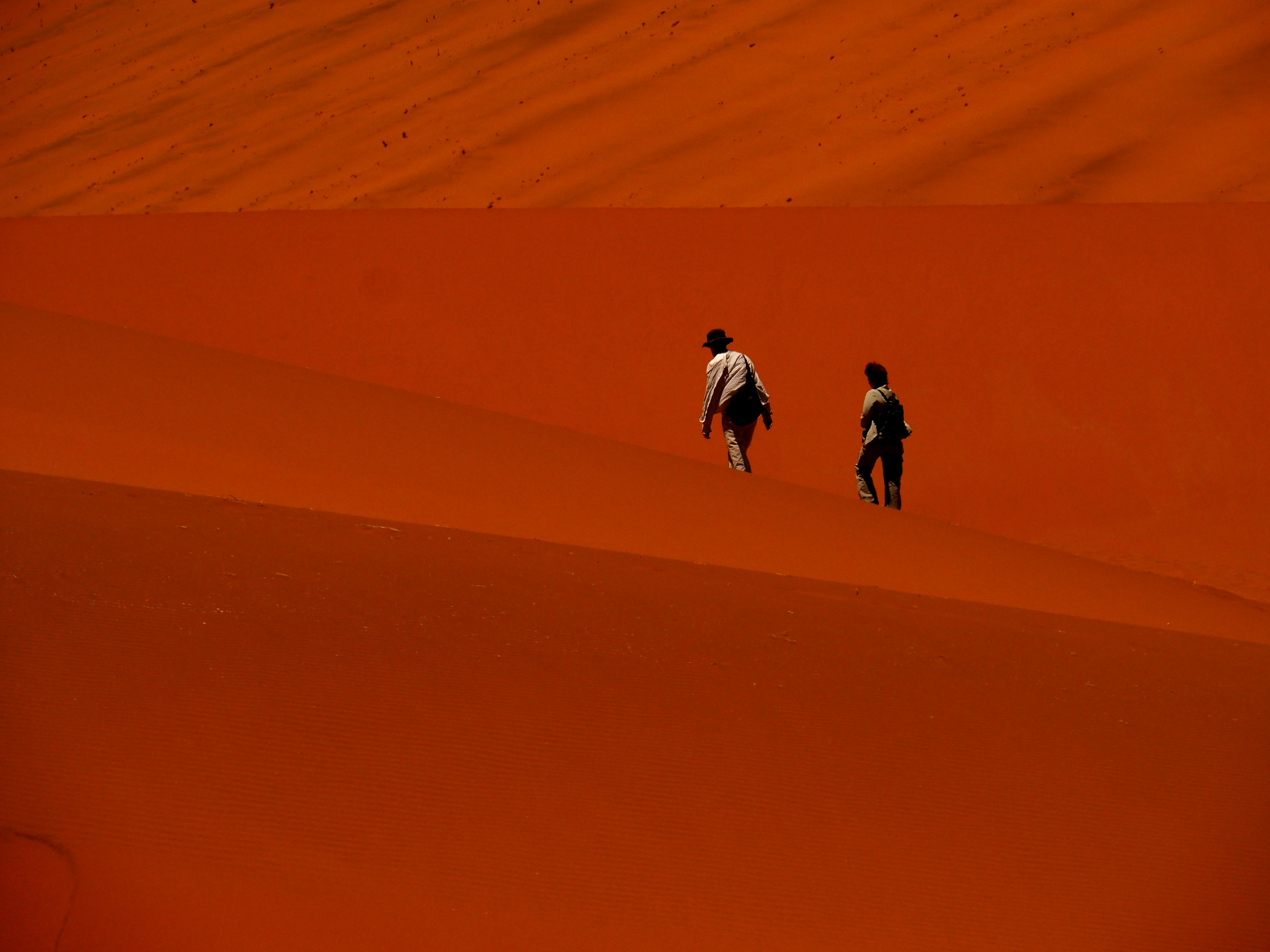 Mis amigos en el Desierto de Namib