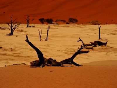 Fantásticos lagos de sal en el Desierto de Namib