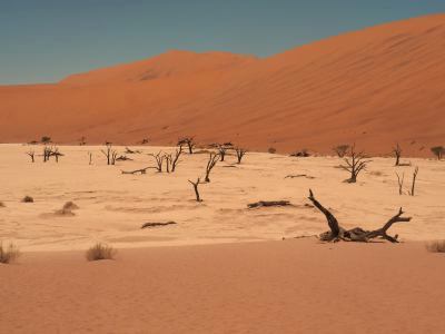 Otro lago de sal en el Desierto de Namib