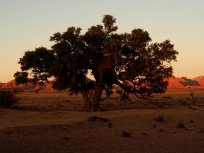 La entrada del Desierto de Namib