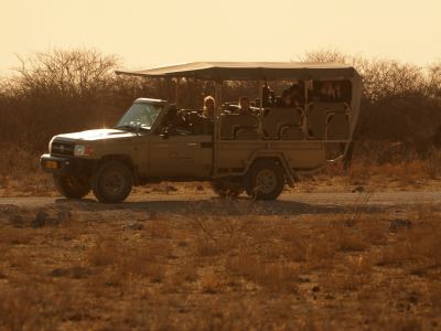 De safari por Ethosa