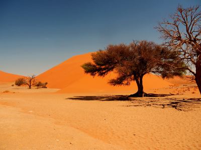 El Desierto de Namib que es fantástico