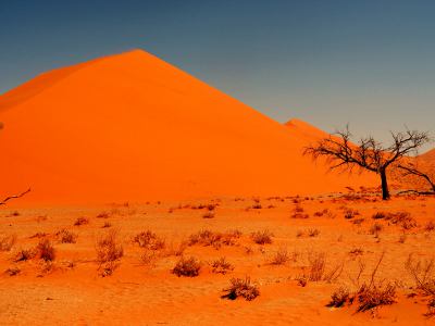 Increíble Desierto de Namib