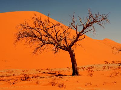 El Desierto de Namib es fantástico