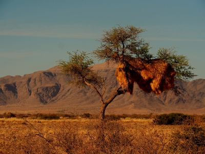 A las puertas del Desierto de Namib