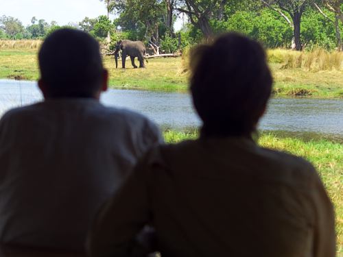Mis amigos en la terraza observando elefantes