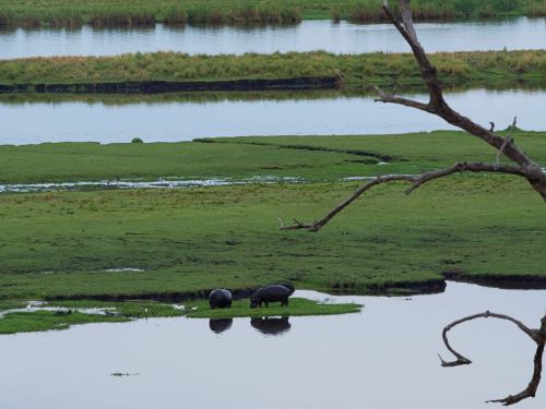 Río Chobe en el Parque Nacional Chobe