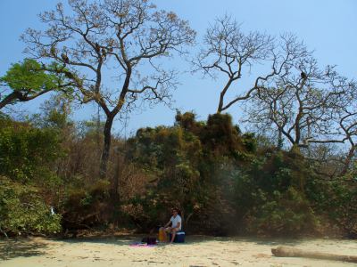 Rodeados de buitres en la Isla de Orango