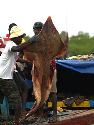 Pescadores en la Casamance