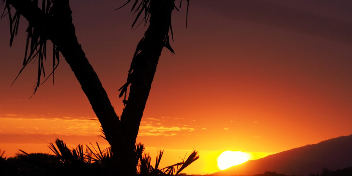 Atardecer en Samburu Reserve en Kenia