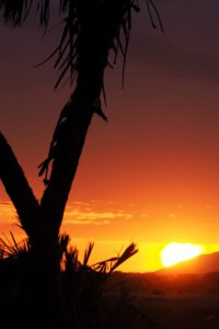 Atardecer en Samburu Reserve en Kenia