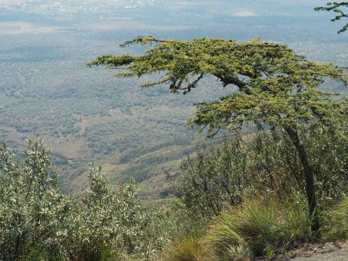 Parque Nacional del Longonot en Kenia