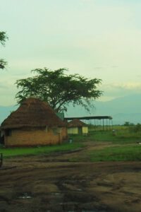 The Queen Elisabeth National Park Uganda