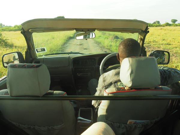 Un safari en The Queen Elisabeth National Park Uganda