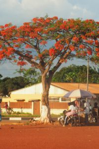 Mbanza Congo una calle Angola