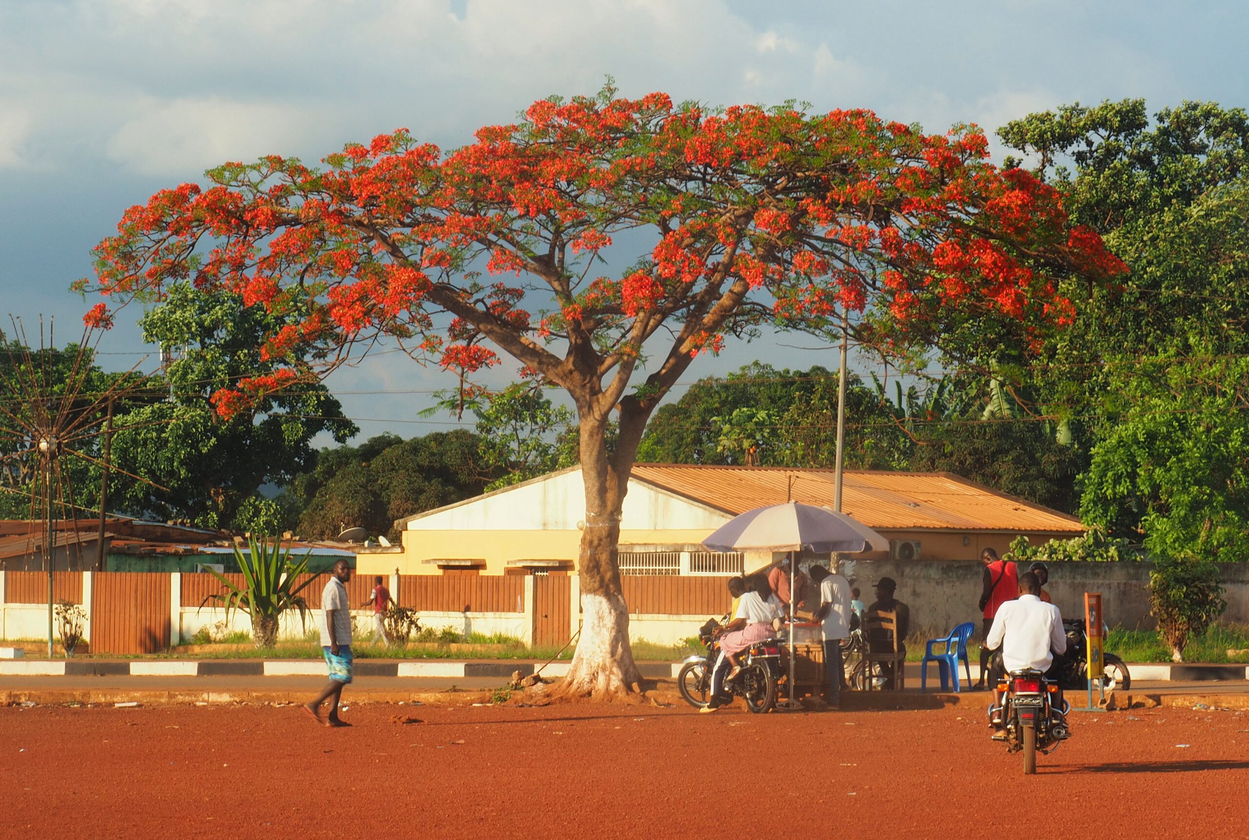 Vuelvo a Angola para acercarme al río Congo