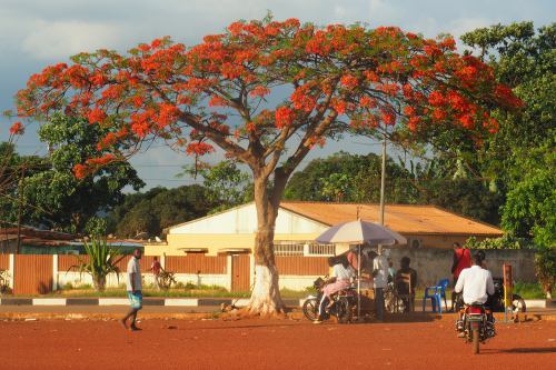 Mbanza Kongo (Angola)