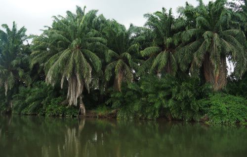 El río Congo a su paso por Soyo Angola