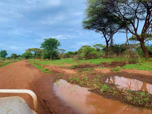 LOWER ZAMBIZI NATIONAL PARK ZAMBIA