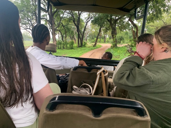 SAFARI EN SOUTH LUANGWA NP ZAMBIA