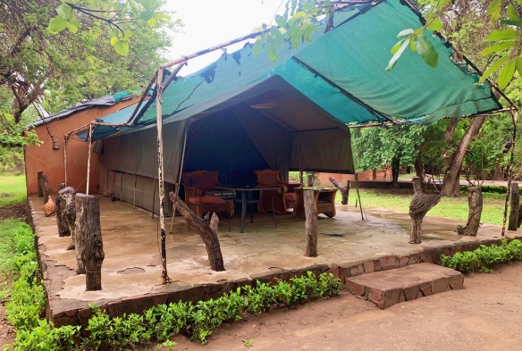 TIENDA DE CAMPAÑA EN CROC VALLERY SOUTH LUANGWA NP ZAMBIA