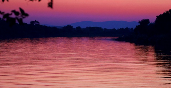 Atardecer en el río Zambeze (Lower Zambizi NP, Zambia)