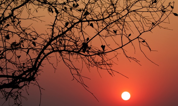 Atardecer en South Luangwa NP, Zambia