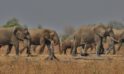 Zambia por libre, vivir la aventura de acampar en mitad de la sabana, Kafue y Cataratas Victoria